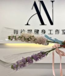 -AN普拉提·健身工作室