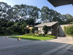 -南宁荔园维景国际酒店·荔园中餐厅