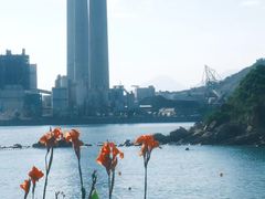 -南丫岛