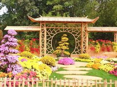 -上海共青森林公园