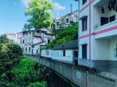-南山植物园
