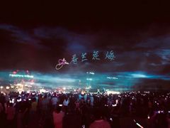-荷兰花海