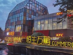 -恒生万鹂广场(唐镇店)