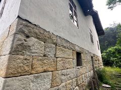 -南山植物园