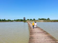 -盐城丹顶鹤湿地生态旅游区