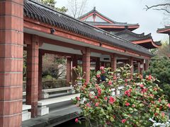 -浙江省博物馆(孤山馆区)