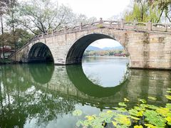 -中国茶叶博物馆(双峰馆区)