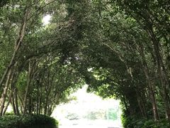 -南京东郊国宾馆