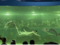 -苏州海洋馆