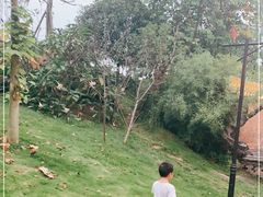 -枫香湖儿童公园