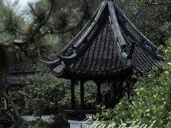 -上海醉白池公园