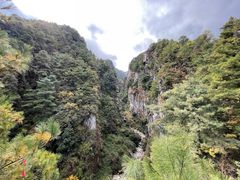 -苍山感通索道