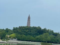 -顺峰山公园