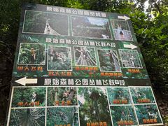 -西双版纳原始森林公园