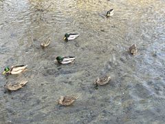 -元大都城垣遗址公园