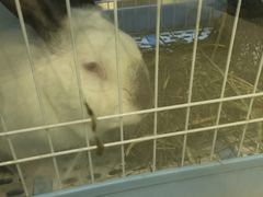 -雨林宠物医院 非犬猫异宠专科