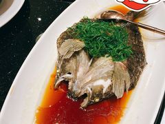 清蒸鲥鱼-圆苑(金茂店)