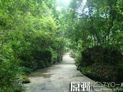 -南江大峡谷