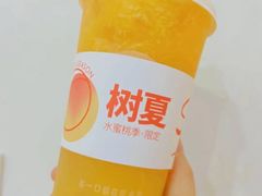 -树夏(金楠天街店)