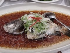 -骏莱海鲜鱼港(五角场店)