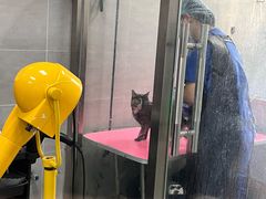 -宠福鑫康馨动物医院·骨科·眼科