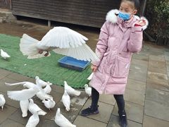 -白鹿原影视城