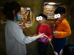 -MR.ZOO小小动物元室内动物园(沈阳沈河盛京中心)