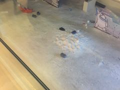 -Mr·Kuma酷么先生雪之乐园