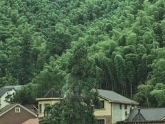 -山沟沟景区