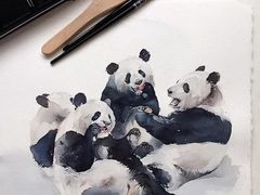-八哥美术·成人美术画室(总校区)