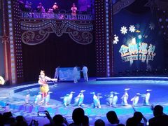 -珠海横琴长隆《卡卡虎奇遇记》