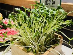 -阳坊胜利涮羊肉(阳坊总店)