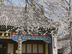 -护国法轮寺