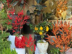 -溪岸路花鸟市场