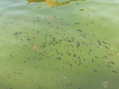 -河北村民俗体验园