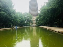 -玲珑塔公园