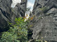 -梭布垭石林景区