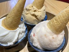 椰子木姜子雪糕-歎雪糕低糖低脂Gelato冰淇淋