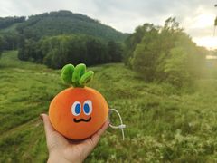 -长白山万达国际度假区