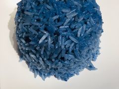 -Asianplus海蓝鸡饭