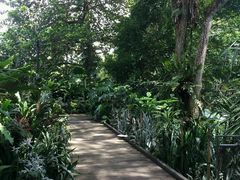 -植物园哈利亚餐厅