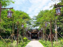 -顺峰山公园