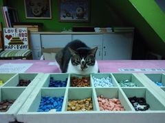 android_upload_pic-瓦匠工社·马赛克·积木拼图·亲子手工DIY