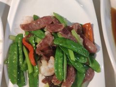 -云中小雅