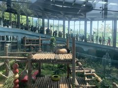 -大连森林动物园