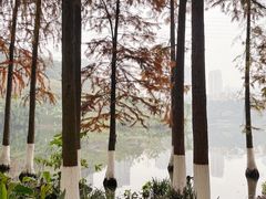-重庆彩云湖湿地公园
