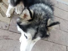 -魅力金座KTV(赣东大道店)