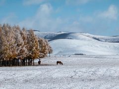 -塞罕坝国家级自然保护区