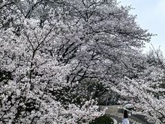 -杭州少年儿童公园