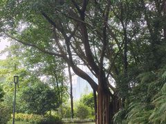 -云溪植物园